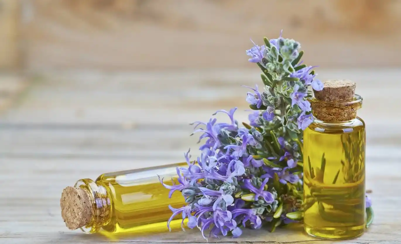 خواص-روغن-رزماری
